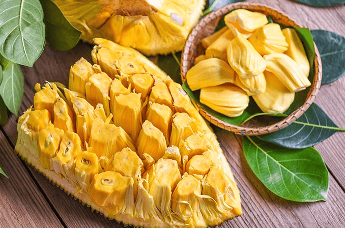 Buah Nangka Kaya Vitamin C Dan Antioksidan