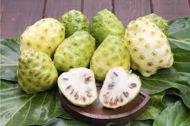 Mengkudu Buah Kaya Akan Kalium